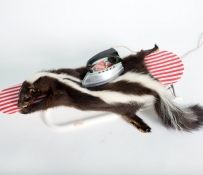 "Идиоты" - Художники Afke Golsteijn и Ruben Taneja