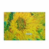 дети солнца