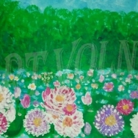 Точка притяжения