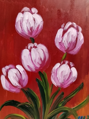 Тюльпаны