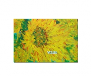 дети солнца