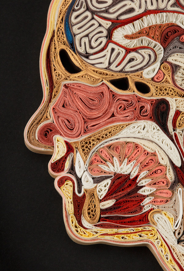 Lisa-Nilsson-quilling-anatomy-2.jpg