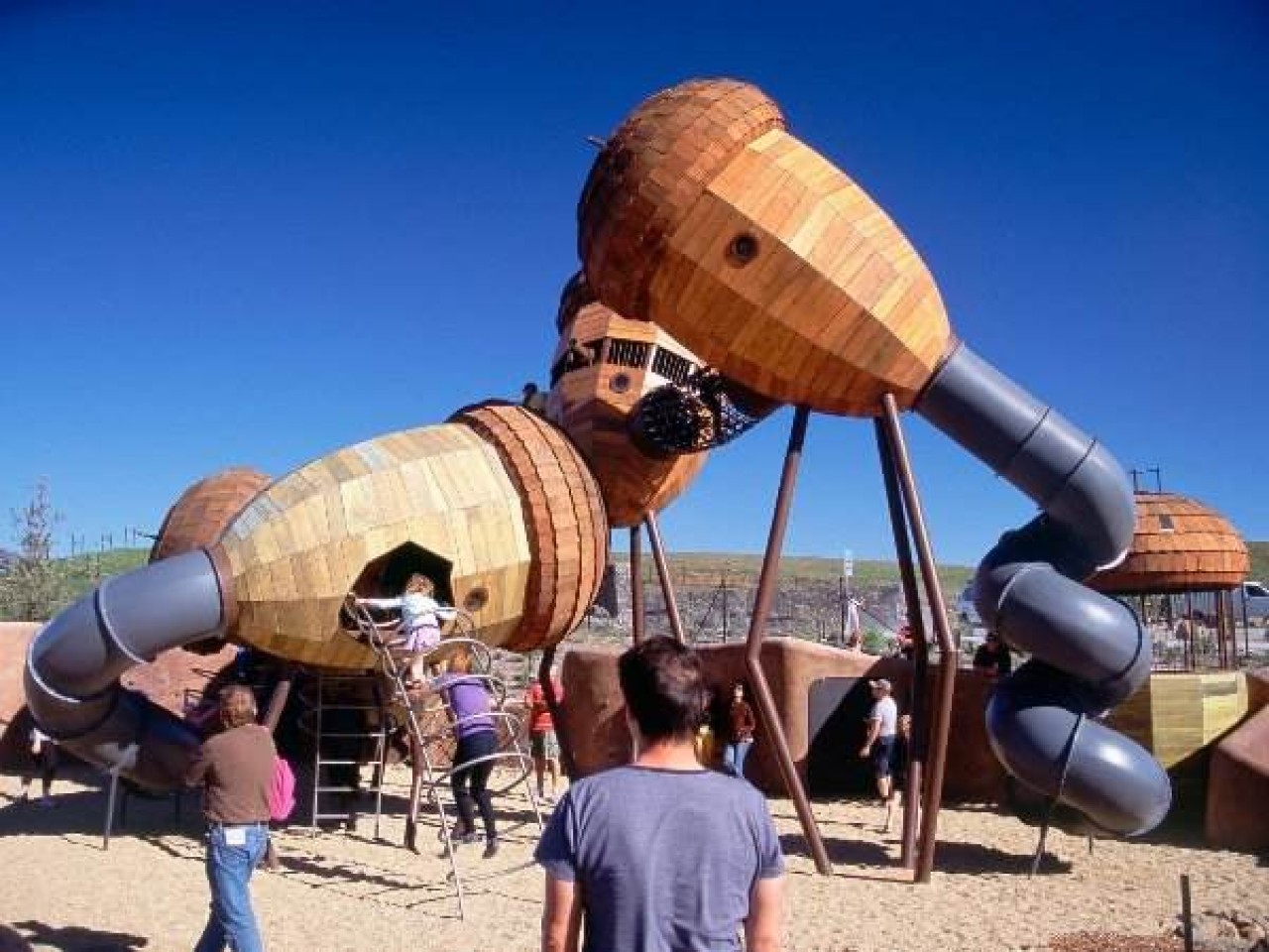 Самая большая детская площадка. Игровая площадка бобовых (the pod Playground), Канберра, Австралия. Детская площадка в Канберре Австралия. Креативная детская площадка. Необычные площадки.