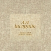 Art-incognito  / art-incognito